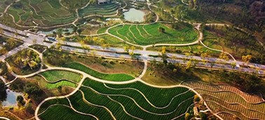 湖南國土空間生態(tài)修復(fù)工程造價軟件