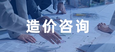 造價(jià)咨詢企業(yè)管理系統(tǒng)